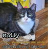 Molly
