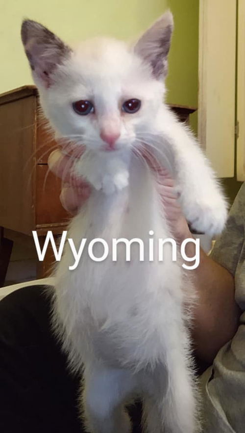 Wyoming