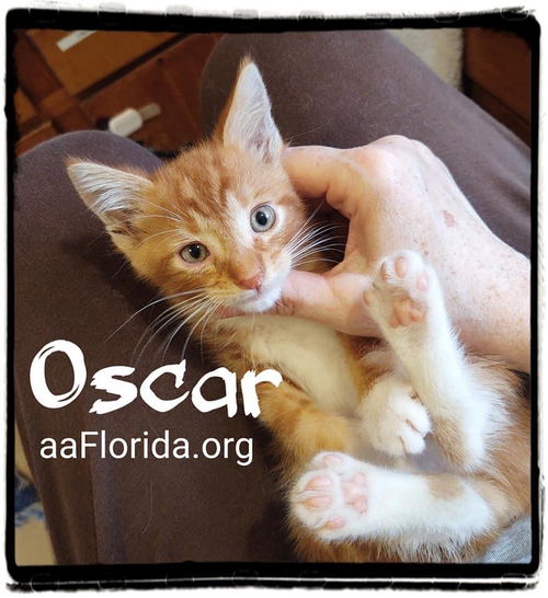 Oscar