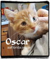 Oscar