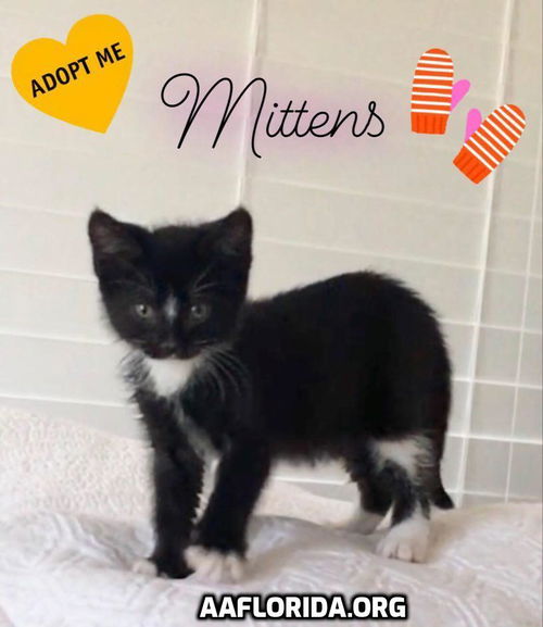 Mittens