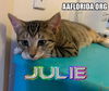 Julie