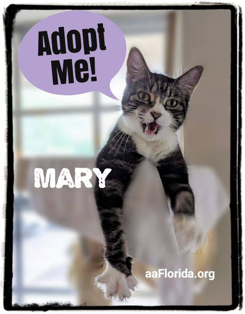 Mary