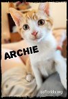 Archie 2020