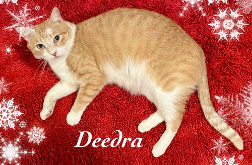 Deedra