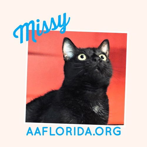 Missy