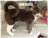 Meeko