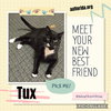Tux 2020