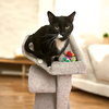Tux 2020