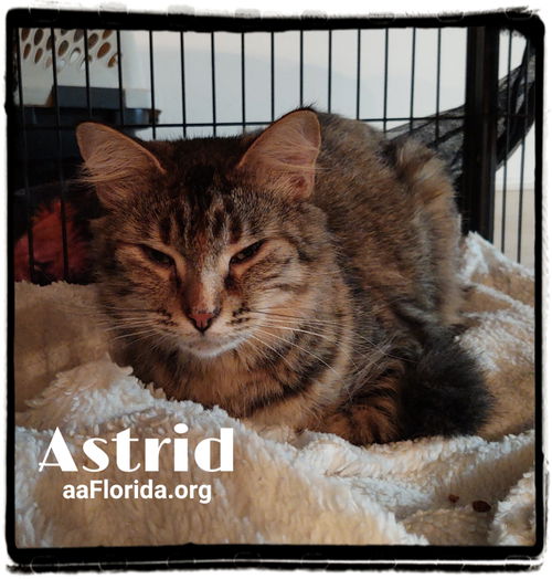 Astrid