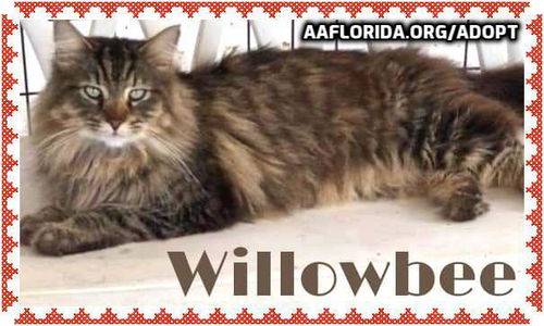 Willowbee