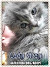 Lady Gray