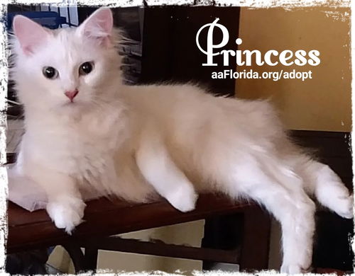 Princess