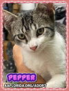 Pepper