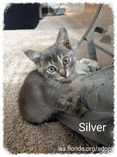 Silver