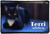 Terri