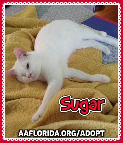 Sugar Irby 2021