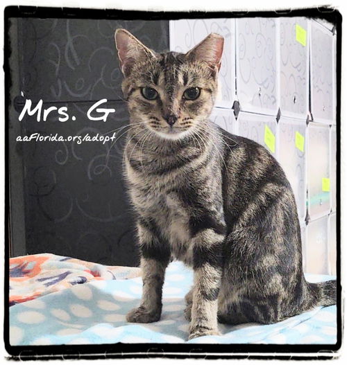 Mrs. G