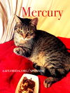 Mercury