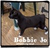 Bobbie Jo