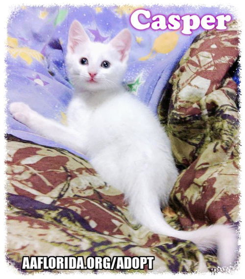 Casper 2021