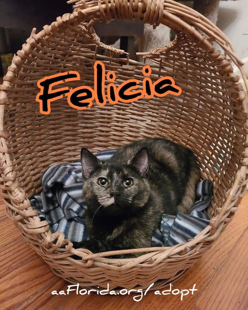 Felicia