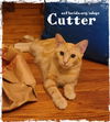 Cutter