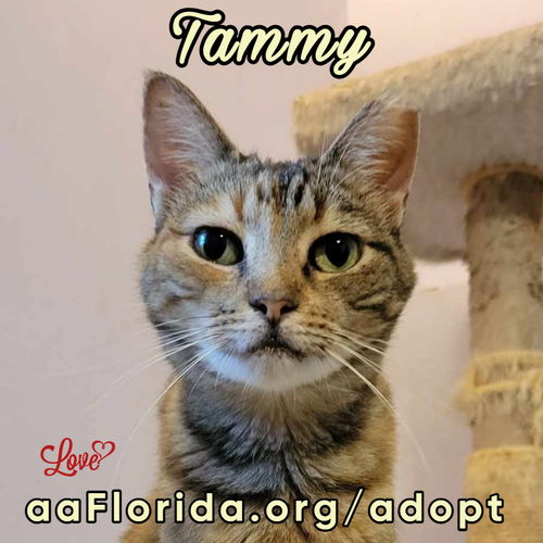 Tammy