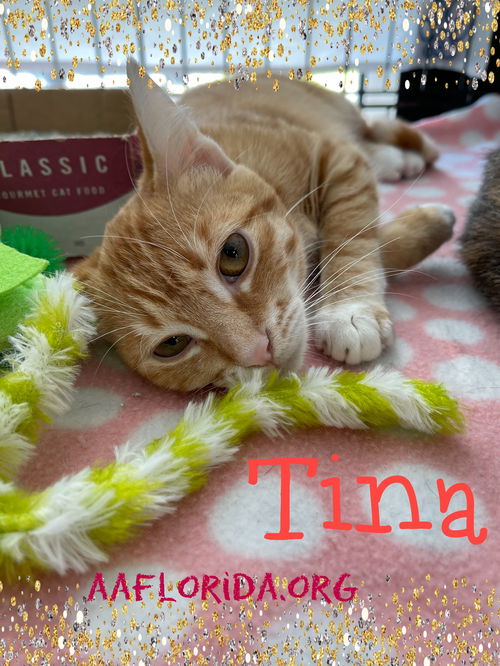 Tina