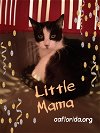 Little Mama Our Most Senior Gal