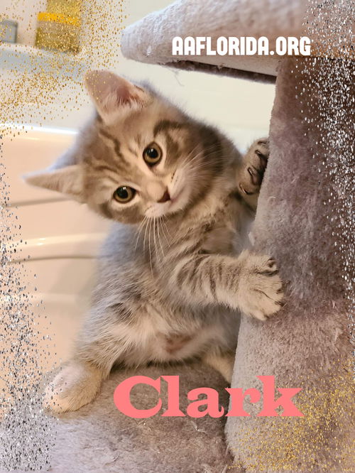 Clark