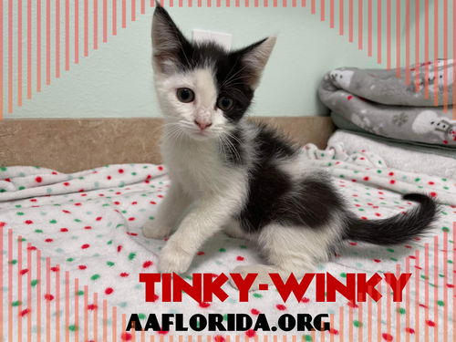Tinky-Winky