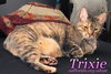 Trixie