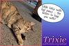 Trixie