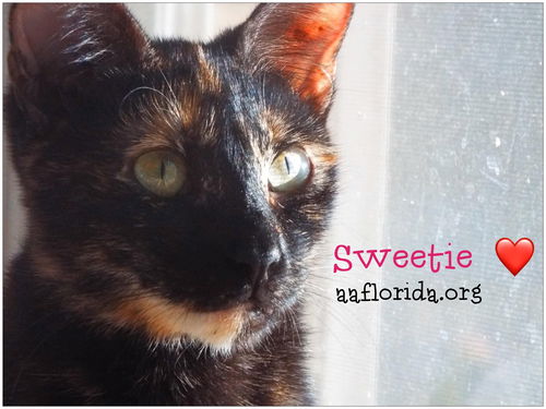 Sweetie