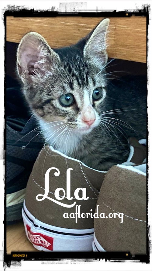 Lola