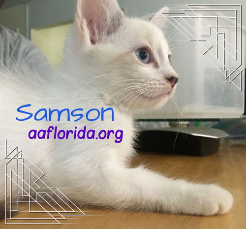 Samson