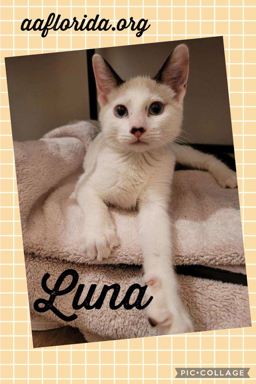 Luna