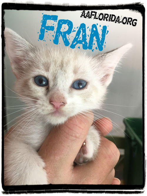 Fran