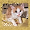 Zeke
