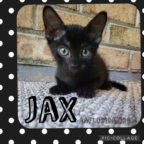 Jax