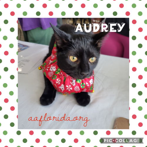 Audrey