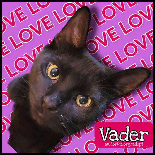 Vader