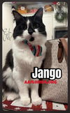 Jango aka Black Berry
