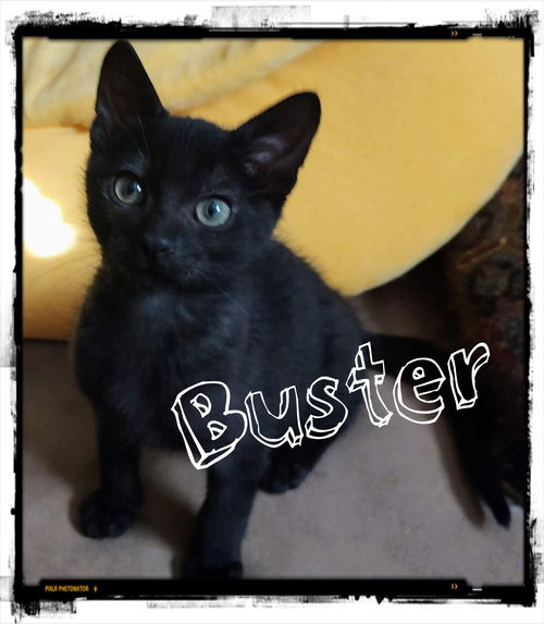 Buster