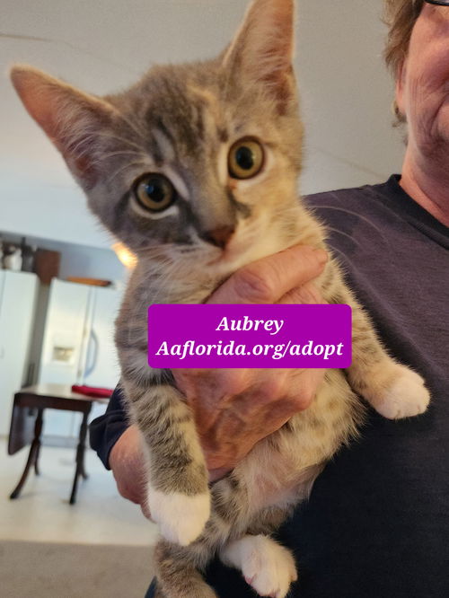Aubrey