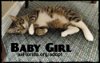 Baby Girl - Ziti
