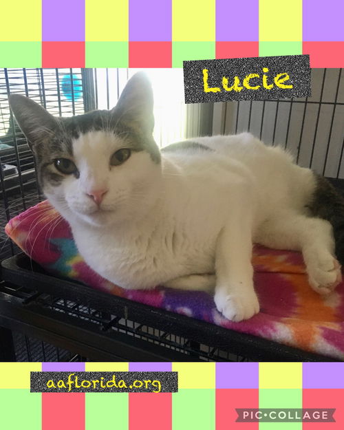 Lucie