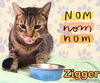 Zigger