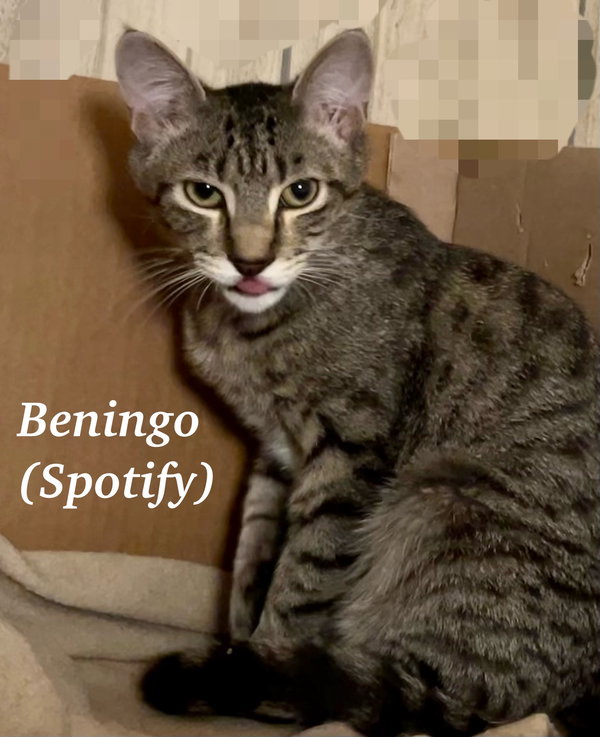 Beningo